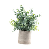 Maxbell Artificial Small Potted Plants for Desktop Ornament Desk Tabletop Decoration Eucalyptus