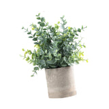 Maxbell Artificial Small Potted Plants for Desktop Ornament Desk Tabletop Decoration Eucalyptus