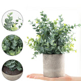 Maxbell Artificial Small Potted Plants for Desktop Ornament Desk Tabletop Decoration Eucalyptus