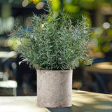 Maxbell Artificial Small Potted Plants for Desktop Ornament Desk Tabletop Decoration Hedychium Diffusum