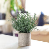 Maxbell Artificial Small Potted Plants for Desktop Ornament Desk Tabletop Decoration Hedychium Diffusum
