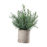 Maxbell Artificial Small Potted Plants for Desktop Ornament Desk Tabletop Decoration Hedychium Diffusum