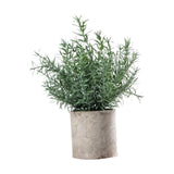 Maxbell Artificial Small Potted Plants for Desktop Ornament Desk Tabletop Decoration Hedychium Diffusum