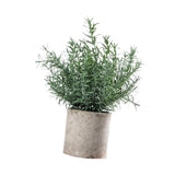 Maxbell Artificial Small Potted Plants for Desktop Ornament Desk Tabletop Decoration Hedychium Diffusum