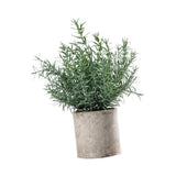 Maxbell Artificial Small Potted Plants for Desktop Ornament Desk Tabletop Decoration Hedychium Diffusum