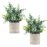 Maxbell Artificial Small Potted Plants for Desktop Ornament Desk Tabletop Decoration Hedychium Diffusum