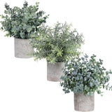 Maxbell Artificial Small Potted Plants for Desktop Ornament Desk Tabletop Decoration Hedychium Diffusum