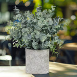 Maxbell Artificial Small Potted Plants for Desktop Ornament Desk Tabletop Decoration Roundleaf Grass