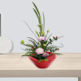 Maxbell Floral Holder Frog Container Flower Arrangement for Gift Counter Living Room Red