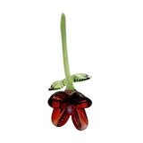 Maxbell Mini Glass Flower Creative Floral Figurine for Women Girls Mother's Day Room Red
