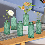 Maxbell 6x Glass Bud Vases Flower Arrangement Display for Office Living Room Kitchen Green
