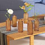 Maxbell 6x Glass Bud Vases Flower Arrangement Display for Office Living Room Kitchen Brown