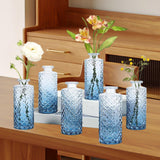 Maxbell 6x Glass Bud Vases Flower Arrangement Display for Office Living Room Kitchen Gradient Blue