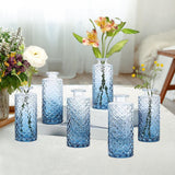 Maxbell 6x Glass Bud Vases Flower Arrangement Display for Office Living Room Kitchen Gradient Blue