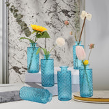 Maxbell 6x Glass Bud Vases Flower Arrangement Display for Office Living Room Kitchen Sky Blue