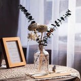 Maxbell 10Pcs Glass Bud Vases Cute Mini Flower Vases for Farmhouse Bookshelf Cabinet Transparent