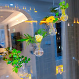 Maxbell Plant Propagation Bulbs with Suction Cup Hooks for Living Room Flowers Decor 2Pcs