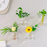 Maxbell Plant Propagation Bulbs with Suction Cup Hooks for Living Room Flowers Decor 2Pcs