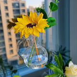 Maxbell Plant Propagation Bulbs with Suction Cup Hooks for Living Room Flowers Decor 4Pcs