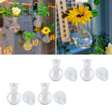 Maxbell Plant Propagation Bulbs with Suction Cup Hooks for Living Room Flowers Decor 4Pcs