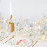 Maxbell 12Pcs Glass Bud Vases Mini Flower Vases for Indoor Outdoor Shelf Living Room Clear