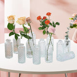 Maxbell 12Pcs Glass Bud Vases Mini Flower Vases for Indoor Outdoor Shelf Living Room Clear