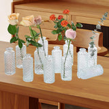 Maxbell 12Pcs Glass Bud Vases Mini Flower Vases for Indoor Outdoor Shelf Living Room Clear