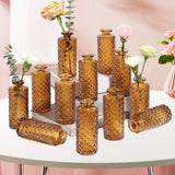 Maxbell 12Pcs Glass Bud Vases Mini Flower Vases for Indoor Outdoor Shelf Living Room Brown