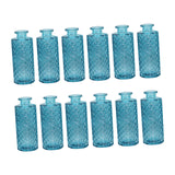 Maxbell 12Pcs Glass Bud Vases Mini Flower Vases for Indoor Outdoor Shelf Living Room Sky Blue