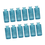 Maxbell 12Pcs Glass Bud Vases Mini Flower Vases for Indoor Outdoor Shelf Living Room Sky Blue
