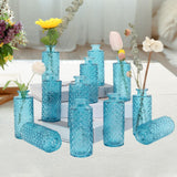 Maxbell 12Pcs Glass Bud Vases Mini Flower Vases for Indoor Outdoor Shelf Living Room Sky Blue