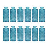 Maxbell 12Pcs Glass Bud Vases Mini Flower Vases for Indoor Outdoor Shelf Living Room Sky Blue