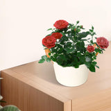 Maxbell Flower Pot European Flower Bucket Planter for Balconies Office Kitchen