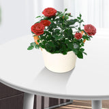 Maxbell Flower Pot European Flower Bucket Planter for Balconies Office Kitchen
