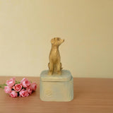 Maxbell Pet Souvenir Jewelry Box Pet Urn Gift Jewelry Case for Earring Charm Pendant