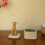 Maxbell Pet Souvenir Jewelry Box Pet Urn Gift Jewelry Case for Earring Charm Pendant