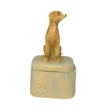 Maxbell Pet Souvenir Jewelry Box Pet Urn Gift Jewelry Case for Earring Charm Pendant