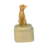 Maxbell Pet Souvenir Jewelry Box Pet Urn Gift Jewelry Case for Earring Charm Pendant