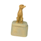 Maxbell Pet Souvenir Jewelry Box Pet Urn Gift Jewelry Case for Earring Charm Pendant