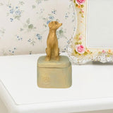 Maxbell Pet Souvenir Jewelry Box Pet Urn Gift Jewelry Case for Earring Charm Pendant