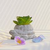 Maxbell Turtle Succulent Planter Pot Cute Simulated for Hotel Gift Table Centerpiece