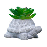 Maxbell Turtle Succulent Planter Pot Cute Simulated for Hotel Gift Table Centerpiece