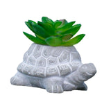 Maxbell Turtle Succulent Planter Pot Cute Simulated for Hotel Gift Table Centerpiece