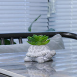 Maxbell Turtle Succulent Planter Pot Cute Simulated for Hotel Gift Table Centerpiece