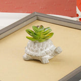 Maxbell Turtle Succulent Planter Pot Cute Simulated for Hotel Gift Table Centerpiece