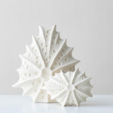Maxbell Ceramic Vase Nordic Boho Aesthetic Home Decor for Mantel Mantle Dining Table L white
