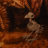 Maxbell Halloween Props Horror Statue Realistic Bird Skeleton for Party Yard Outdoor