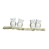 Maxbell Owl Wall Hook Decoration Cute Creative Walls Rack for Bedroom Porch Household 4 Hooks