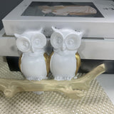 Maxbell Owl Wall Hook Decoration Cute Creative Walls Rack for Bedroom Porch Household 4 Hooks