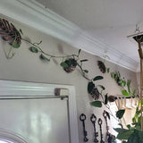 Maxbell 3 Pieces Wall Plant Climbing Brackets Climbing Plants Attachment for Bedroom Style A